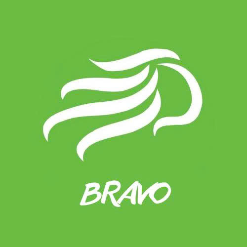 Bravo Hair Factory Vietnam